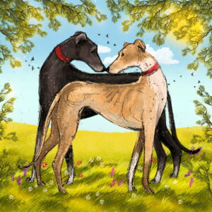 Meadow Greyhounds