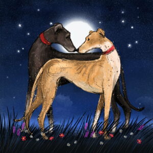 Moonlit Greyhounds